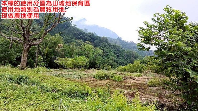 870BO苗栗大湖5分休閒農地 第 1 張圖片