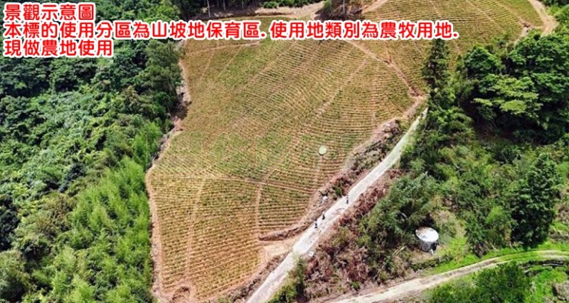 874BO大湖高海拔農地A2 第 1 張圖片