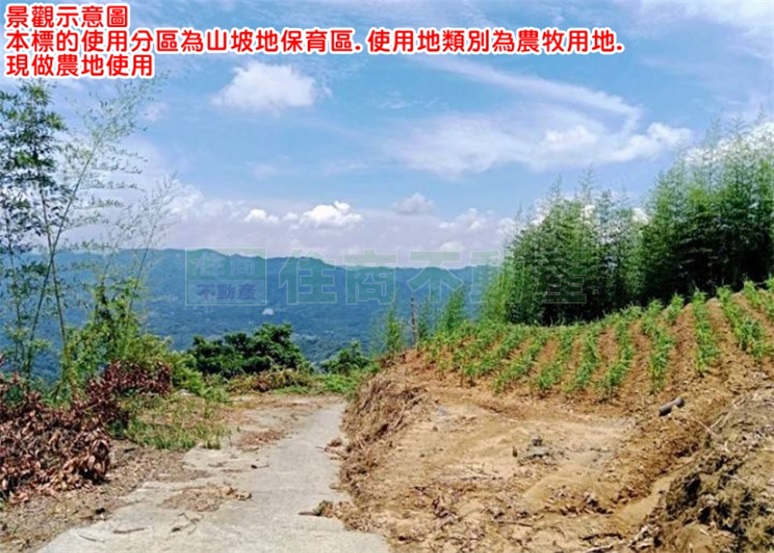 881BO大湖高海拔農地A1 第 1 張圖片