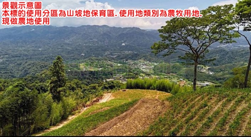872BO大湖高海拔農地A3 第 1 張圖片